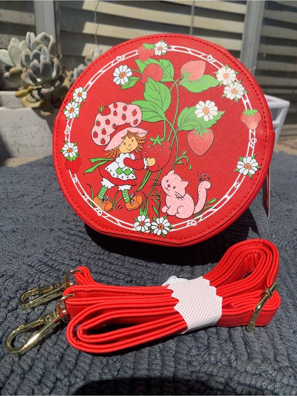 Strawberry Shortcake small bag